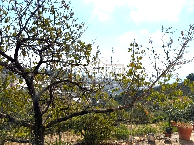 Agenzia Immobiliare Centrale Sanremo
